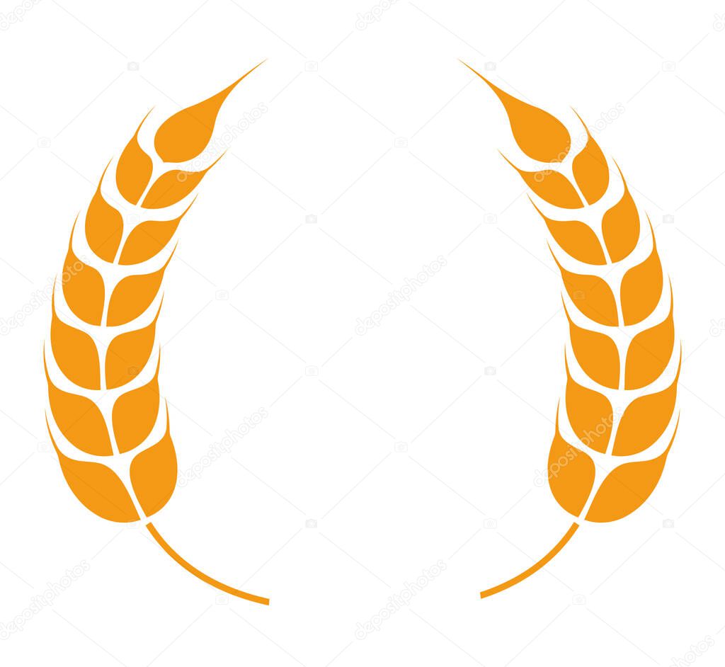 Wreath made of wheat or barley spikelets, rounded shape isolated. Heraldic form with leaves, bakery sign or logotype. Harvesting season in autumn, circular foliage of ripe crop, vector in flat style