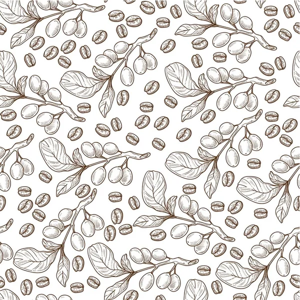Větve Rostoucích Kávových Zrn Bezešvé Vzor Semena Aromatické Nápoje Nádobí — Stockový vektor