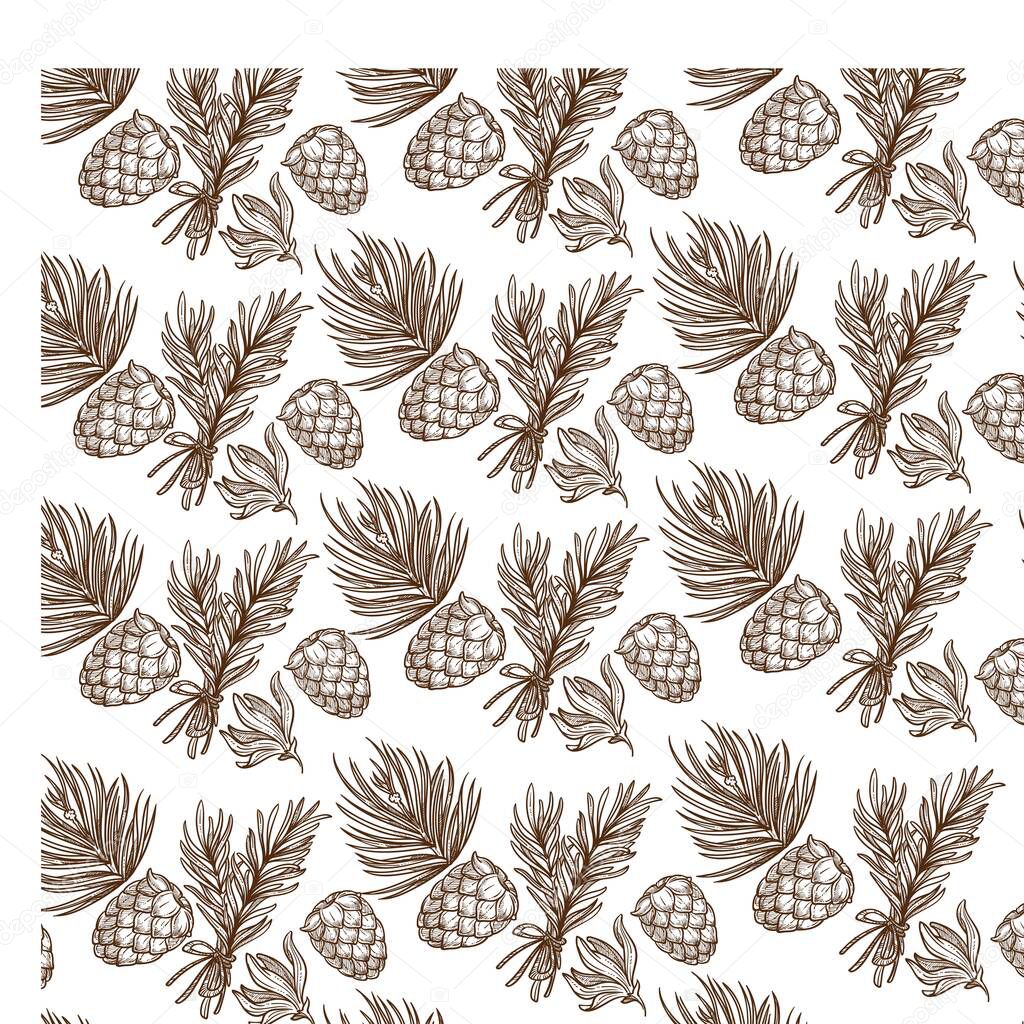 Fit tree branches with needles and cones seamless pattern. Cryptomeria forestry plant, foliage of cedar. Coniferous flora, botany twigs colorless. Monochrome sketch outline, vector in flat style