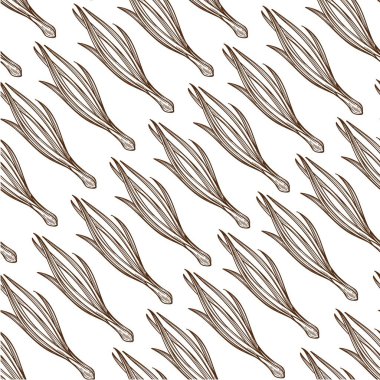 Organik soğan yaprakları, vitaminli pırasa ve mikroelementler dikişsiz desen. Vejetaryen yemekleri için salata, köy mutfağı, mutfak ilavesi. Kereviz sapı, monokrom çizim taslağı, düz vektör.