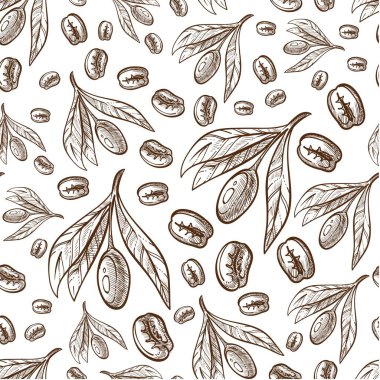 Kafe menüsü için kahve çekirdeği aromalı kahve çekirdeği. Olgun tohumlarla, sıcak içeceklerle dolu bir bitki. Uyarıcı yapraklar ve kafein. Tek renkli çizim taslağı, düz biçimli vektör