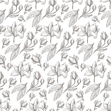 Büyüyen manolya pürüzsüz desen. Yapraklı ve yapraklı bitki, zarif dekoratif kompozisyon. Çiçek açan buket, botanik dekoru. Tek renkli çizim taslağı, düz biçimli vektör