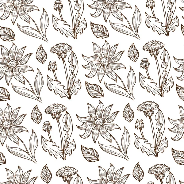 Цветы Цветущие Листьями Стеблями Бесшовный Узор Флоры Цветочный Состав Одуванчика — стоковый вектор