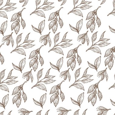 Çiçek yaprakları, pürüzsüz desenler. Çiçek yaprağı, parmak izi ya da kart için arka plan. Dekoratif botanik. Çiçek yetiştiren bitki, organik dekor. Tek renkli çizim taslağı, düz biçimli vektör