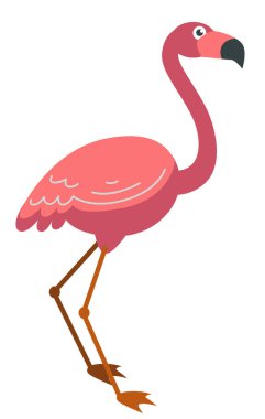 Uzun bacak vektöründe pembe flamingo tropikal kuş