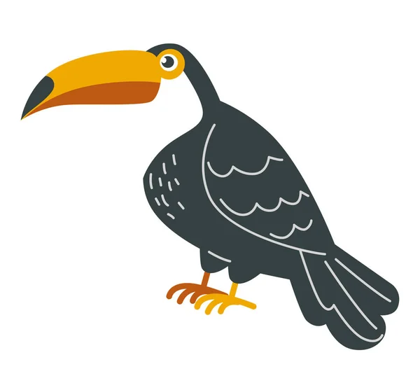 Pájaro tucán, fauna tropical con plumaje negro vector — Vector de stock