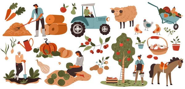 Agriculture et agriculture, personnes travaillant sur le terrain et la récolte — Image vectorielle