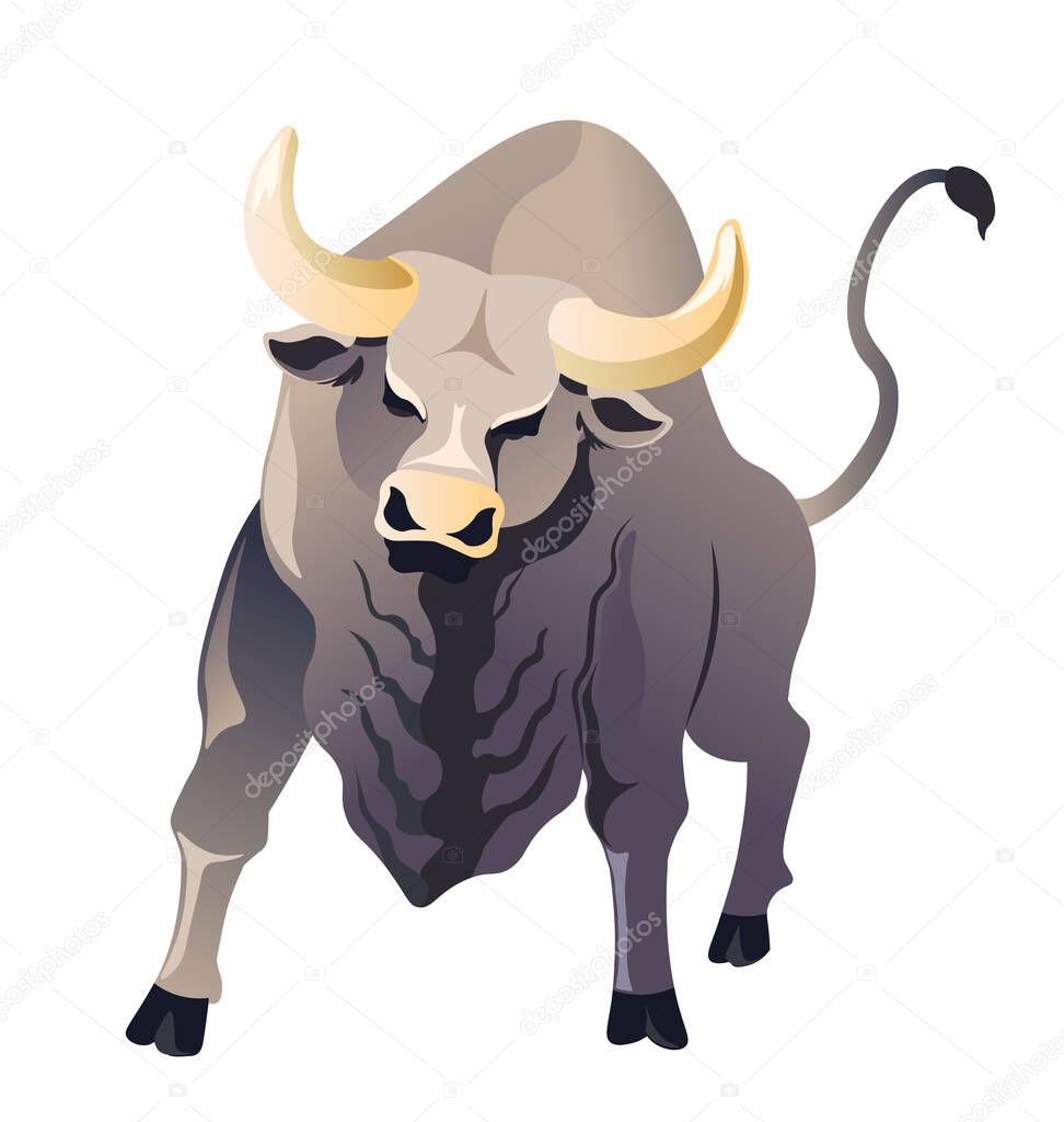 Angry bull front view, buffalo wild animal vector