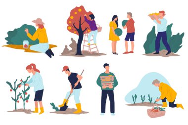 Çiftçi insanlar elma topluyor, çalılıklardan olgun böğürtlen topluyorlar. Tarlalardan ürün toplayan çiftçiler. Toprakta çukur kazmak, sebze ve havuç hasadı. Düz ekolojik iş vektörü