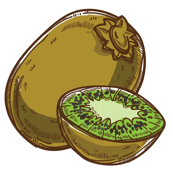 Fruits Tropicaux Avec Graines Kiwi Vert Icône Isolée Baies Tranchées — Image vectorielle