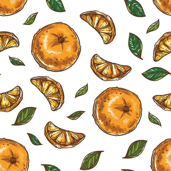 Mandarinen Und Gewürze Zitrusfrüchte Und Minze Blätter Nahtlos Muster Isoliert — Stockvektor