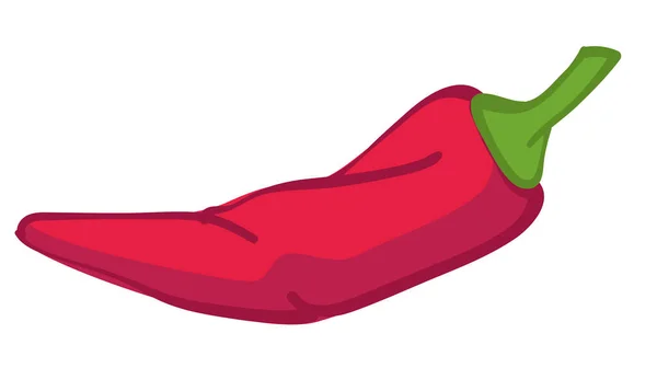 Piment Rouge Légume Isolé Herbe Pour Menu Chaud Végétalien Végétarien — Image vectorielle
