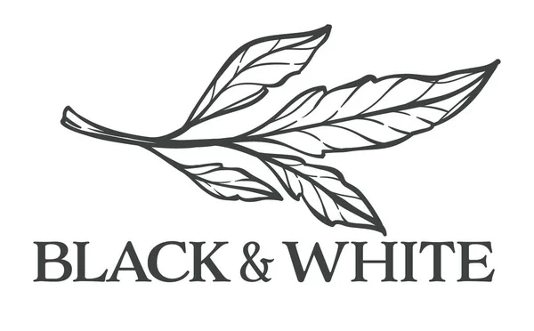 Floral Σχέδιο Μαύρο Και Άσπρο Φύλλο Λουλούδι Μονόχρωμο Περίγραμμα Σκίτσο — Διανυσματικό Αρχείο