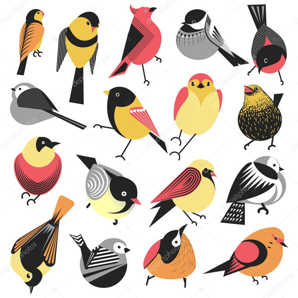 Exotic and local birds isolated animals with colorful plumage, avian creatures. Species with fluffy plumelets, bullfinches or sparrows. Fauna and biodiversity of planet, vector in flat style
