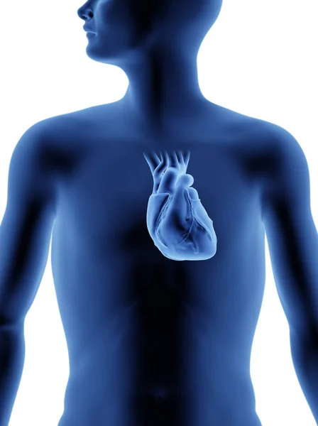 Cuerpo Humano Corazón Efecto Rayos Ilustración — Foto de Stock
