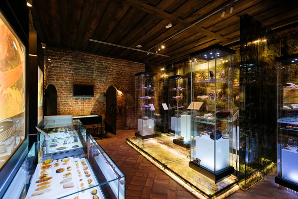 Gdansk, Polonya - 10 Mayıs 2018: Amber Müze Gdansk, sergi.