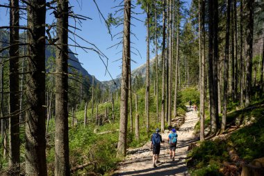 Zakopane, Polonya - 4 Ağustos 2018: Yürüyüşçüler Zakopane, Polonya yakınındaki yüksek Tatra bir iz üzerinde. 