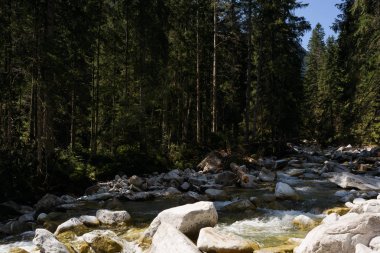 Güzel yüksek Tatra akışında. 