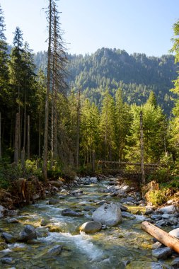Güzel yüksek Tatra akışında. 