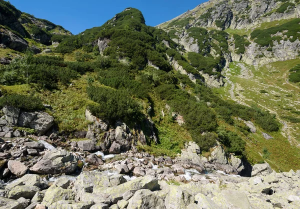 Siklawa Waterfall Tatra Summer — Stock Photo, Image