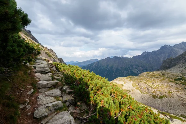 Wanderzug Der Hohen Tatra Tal Der Fünf Seen — Stockfoto
