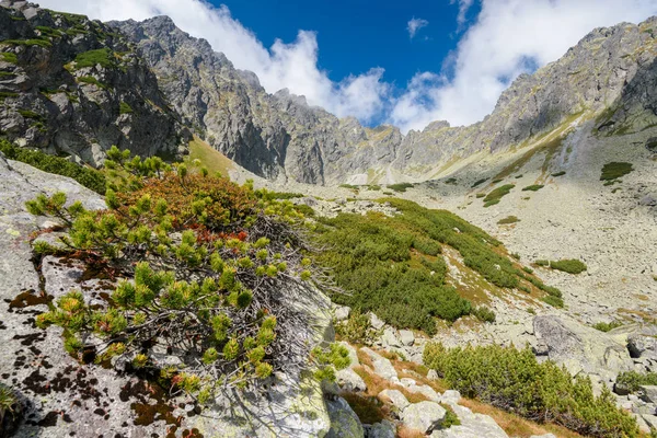 Picos Montanha High Tatra Orla Perc — Fotografia de Stock