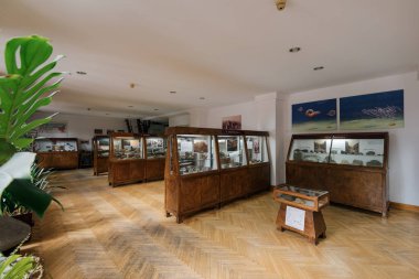 Zakopane, Polonya - 14 Eylül, 2018:Mineral, Zakopane, Polonya Tatra Müzesi'nde görüntülenen