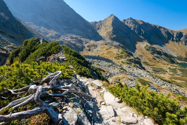 美丽的山风景在高 Tatra 锡隆纳葛拉 Dolina Gasienicowa — 图库照片