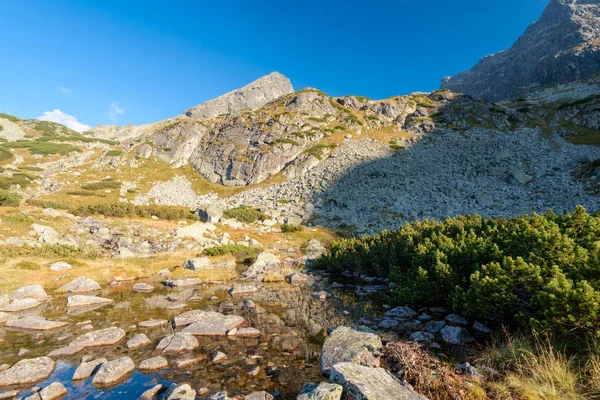 美丽的山风景在高 Tatra 锡隆纳葛拉 Dolina Gasienicowa — 图库照片