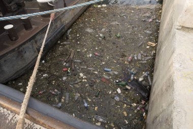 Paris, Fransa - 31 Ağustos 2019: Atık ve atılan çöpler Paris'teki Seine Nehri'nin suyunda toplanıyor, Fransa. 