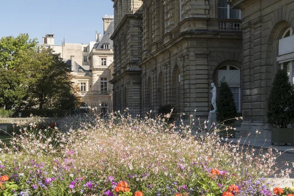 París Francia Septiembre 2019 Palacio Luxemburgo Con Flores París Francia — Foto de Stock