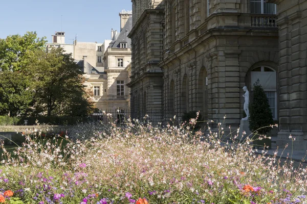 Paris França Setembro 2019 Palácio Luxemburgo Com Flores Paris França — Fotografia de Stock