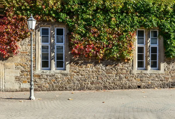 Vista exterior de hiedra verde fijada en la esquina de una antigua casa de piedra . — Foto de Stock