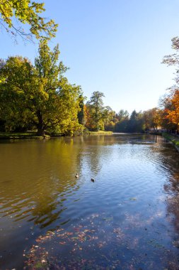 Nehir ve güneşli gün ağaçlarda peyzaj