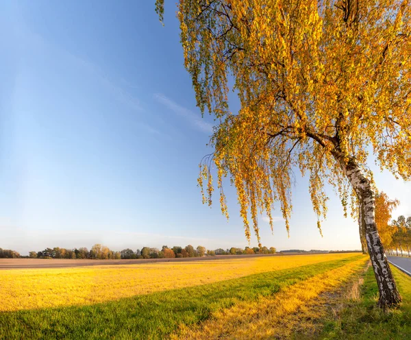 Autumn sunny landscape with colorful view Lower Saxony — Stock Photo, Image