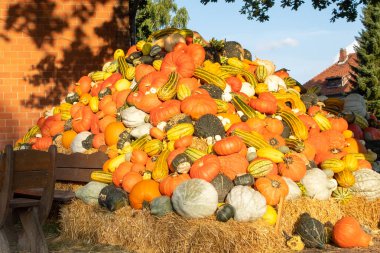 Kabak ve saman ile Sonbahar dekorasyon. Aşağı Saksonya, Almanya