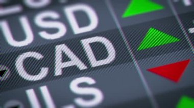 Kanada Doları üstünde belgili tanımlık perde. Döngü.