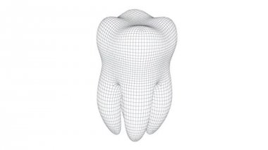 3D modeli diş. Döngü.
