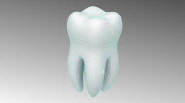 3D modeli diş. Döngü.