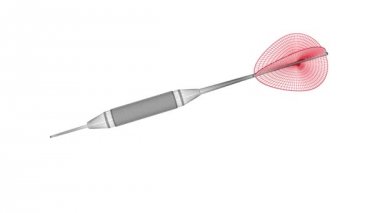 Dart ları 3D modeli. Döngü.