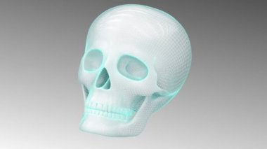 3D modeli kafatası. Döngü.