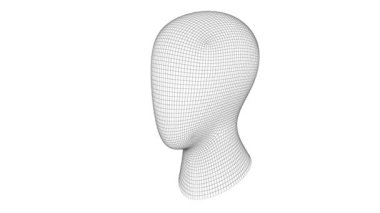 3D modeli bir kafa. Döngü.
