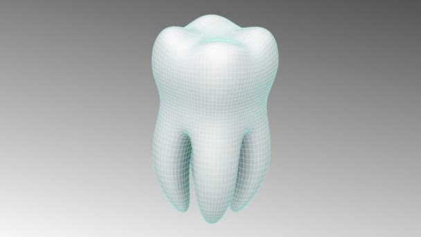 3D-Modell des Zahnes. Schleife.