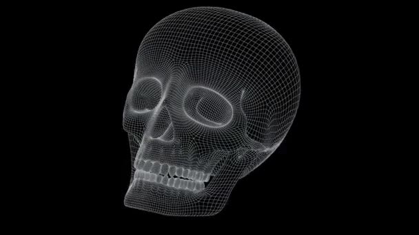 头骨的模型 — 图库视频影像