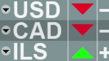 Kanada Doları oranı. Döngü.