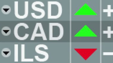 Kanada Doları oranı. Döngü.