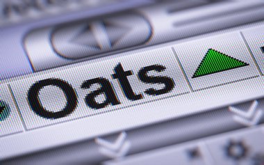 Dizin yulaf üstünde belgili tanımlık perde. Yukarı.