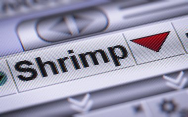 Dizin karides üstünde belgili tanımlık perde. Aşağı.