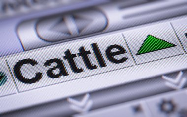 Dizin sığır üstünde belgili tanımlık perde. Yukarı.