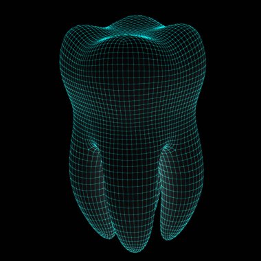 3D modeli diş.